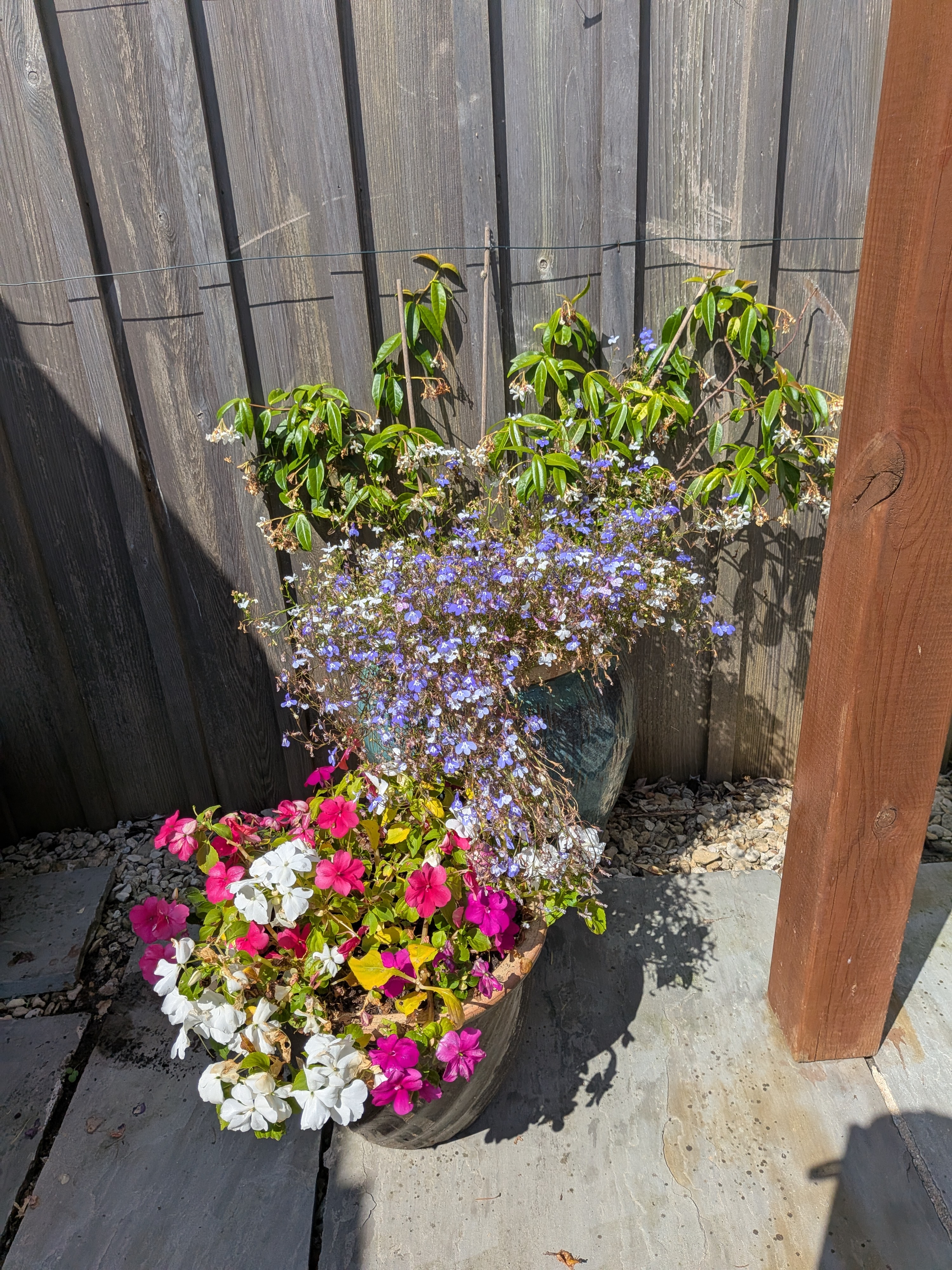 Plants and greenery around the patio